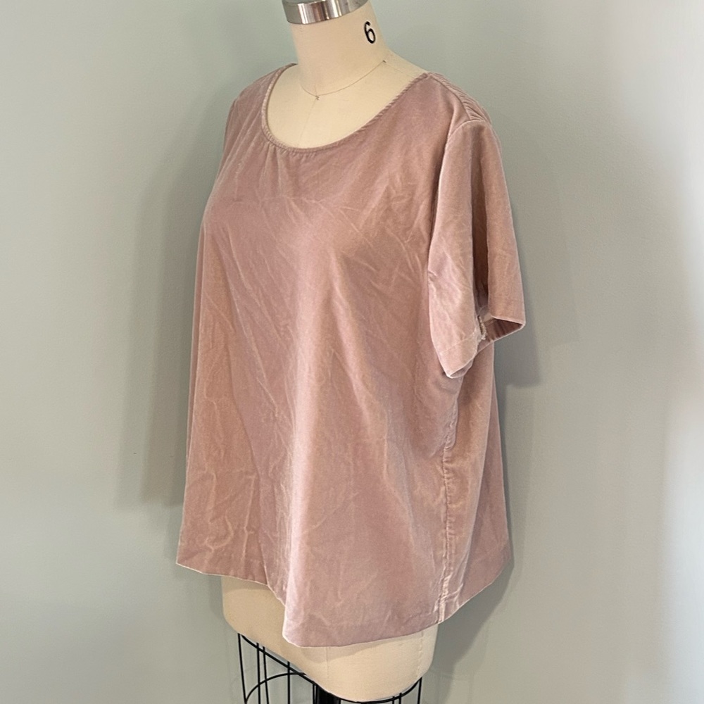 J Crew Blush Velvet Short Sleeve Top in XXL